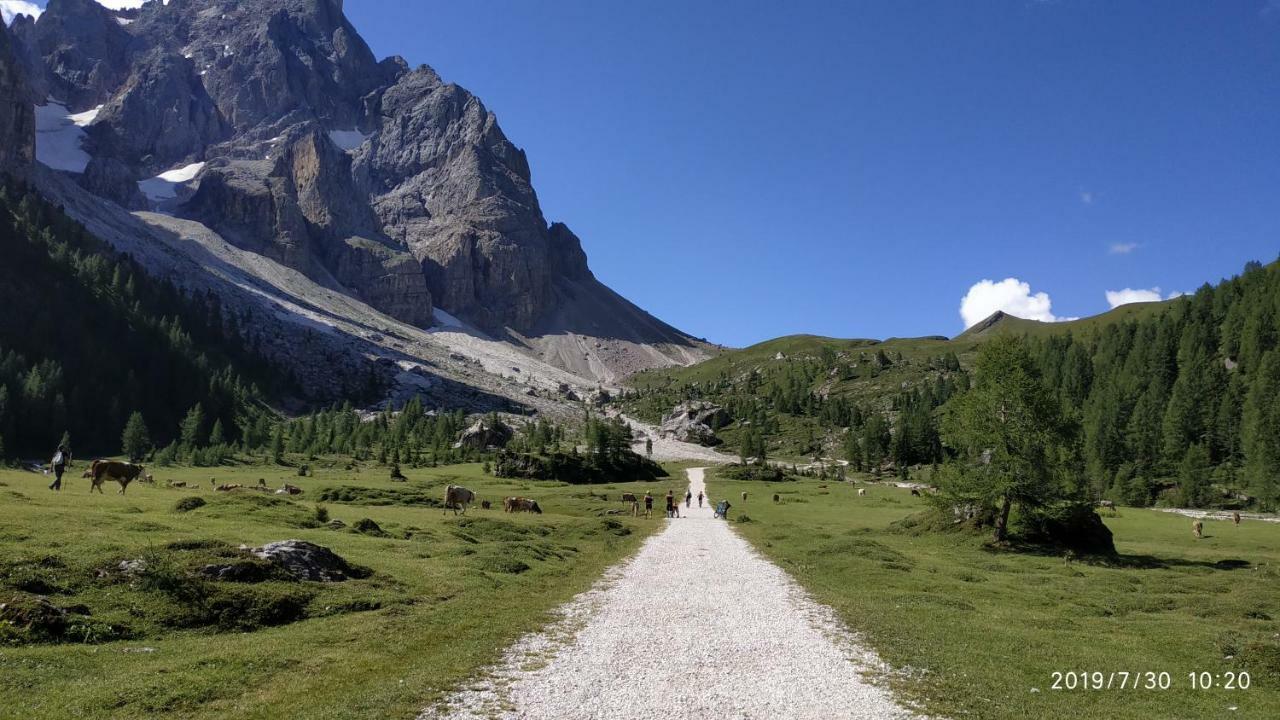 Il Covo Dello Sciatore Apartment Falcade Bagian luar foto