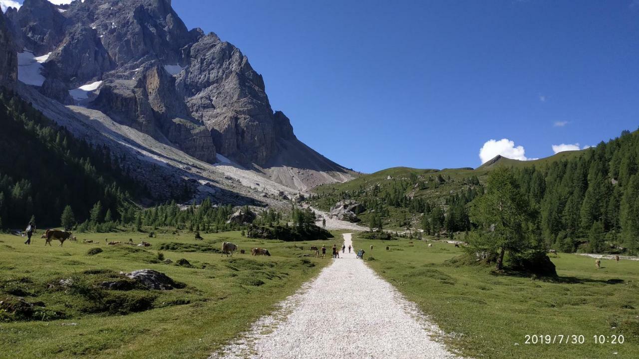 Il Covo Dello Sciatore Falcade Bagian luar foto